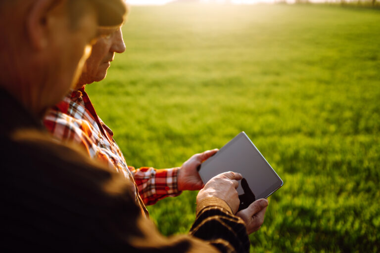two farmers standing in green wheat field using touch pad for ch